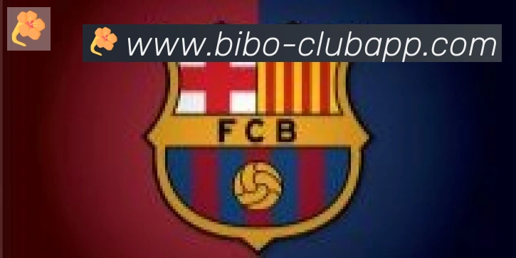 必博bibo官网体育合作伙伴